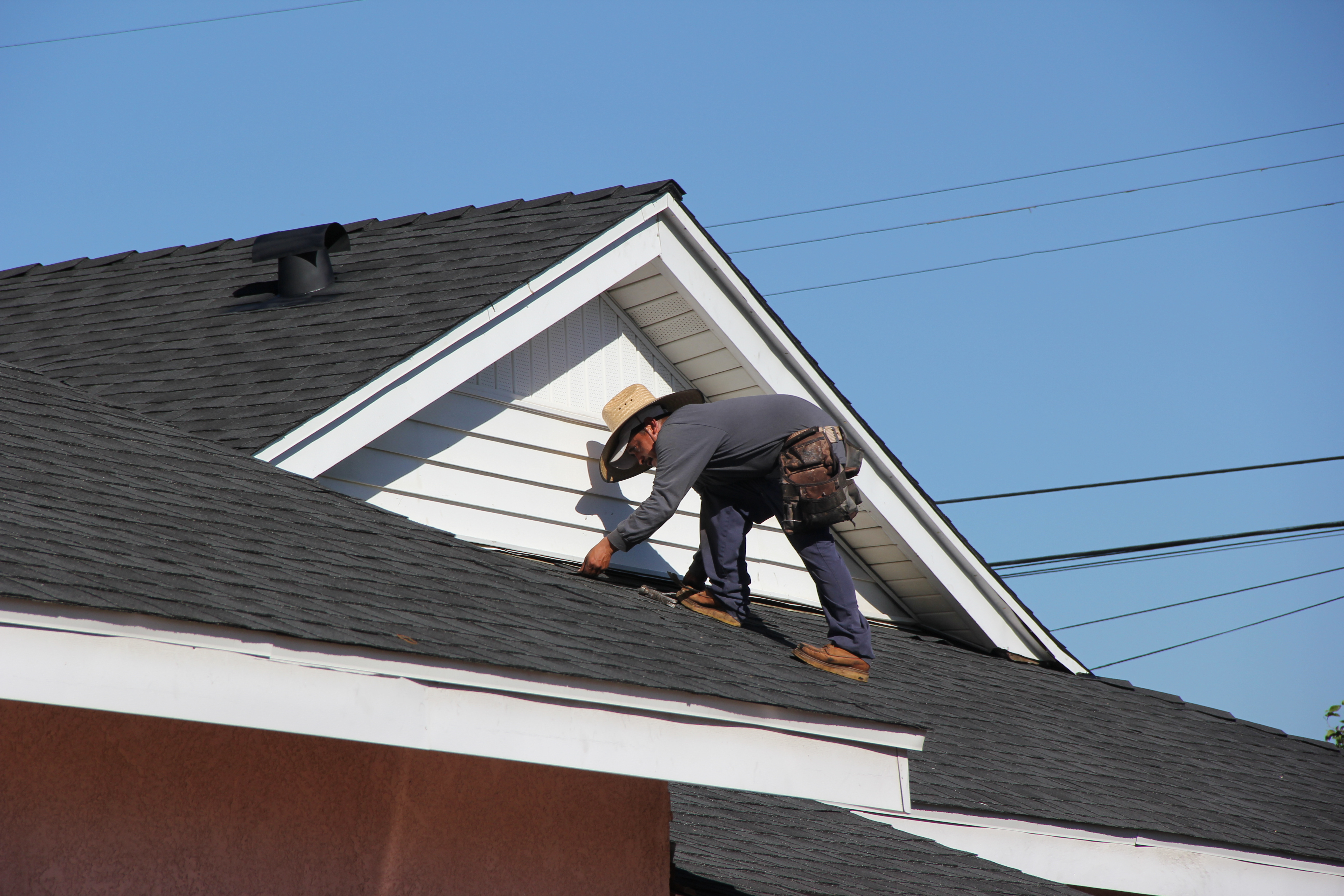 Professional roofers