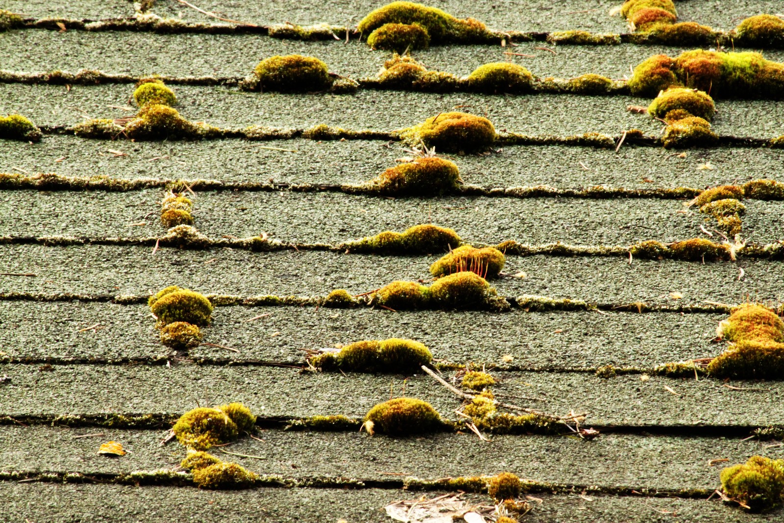 Common Problems With Your Roofing