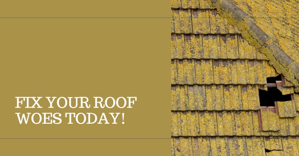 5 Roof Repair Issues & Solutions in San Mateo