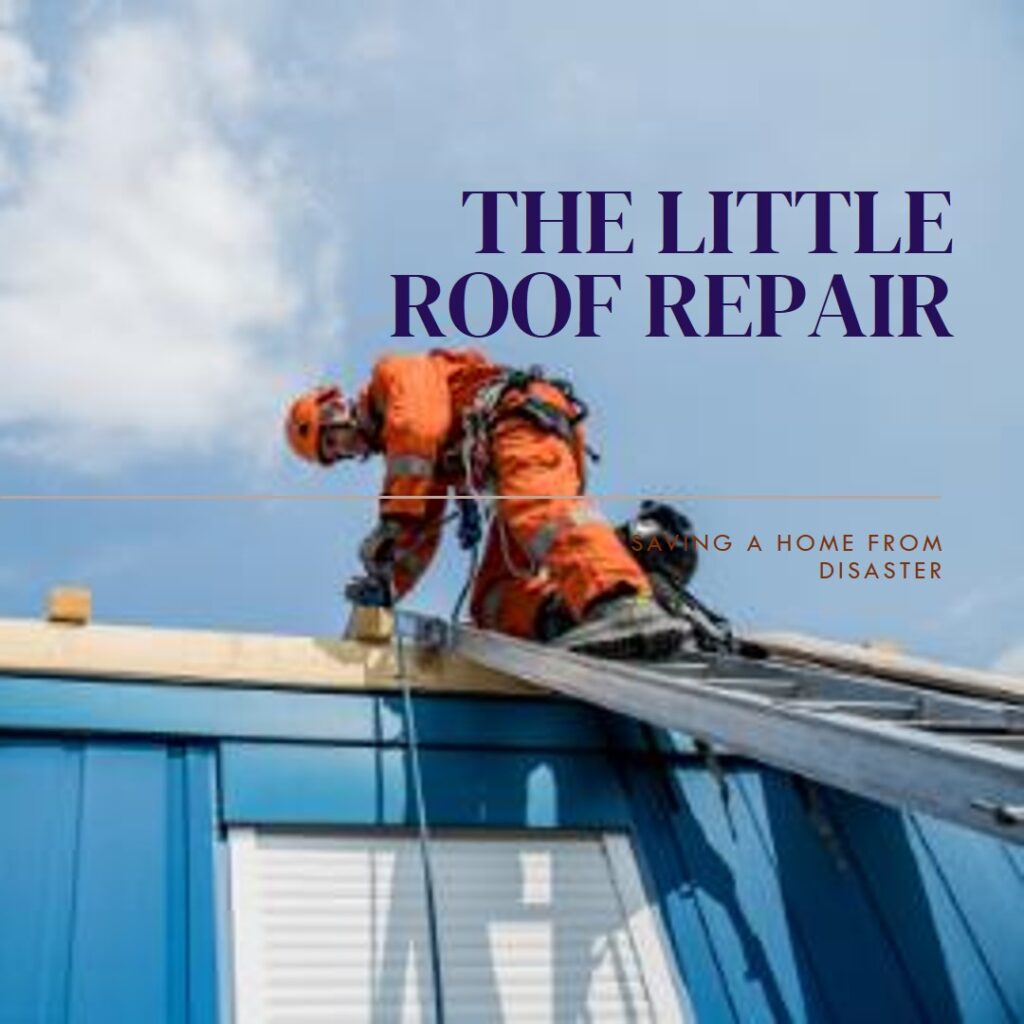 Little-Roof-Repair